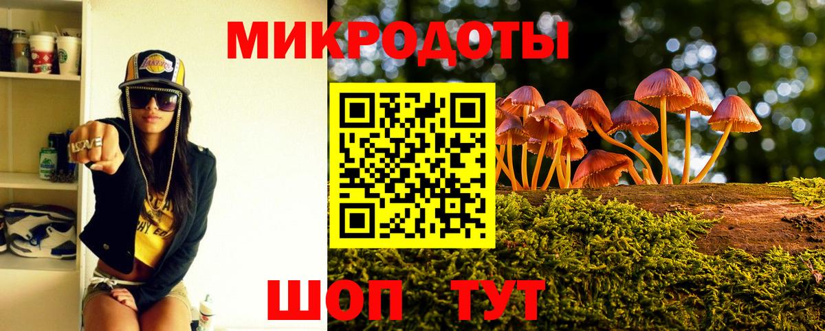 Псилоцибиновые грибы Psilocybe Благовещенск
